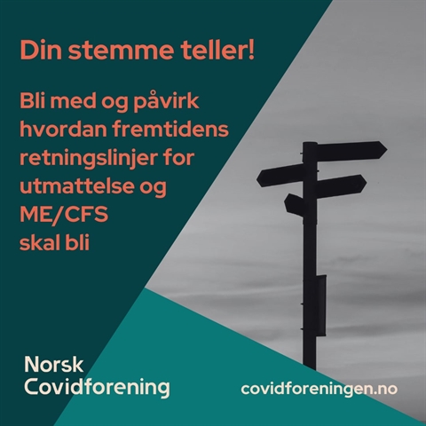 Din stemme teller – Høring om nye nasjonale retningslinjer